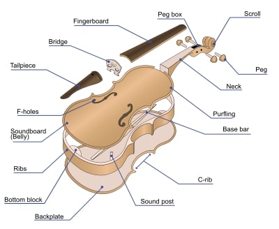 小提琴構造